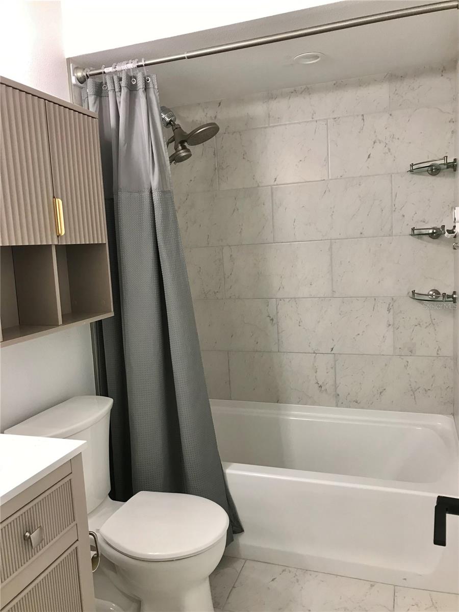 11059 SPRINGRIDGE DR, TAMPA, FL, 33624