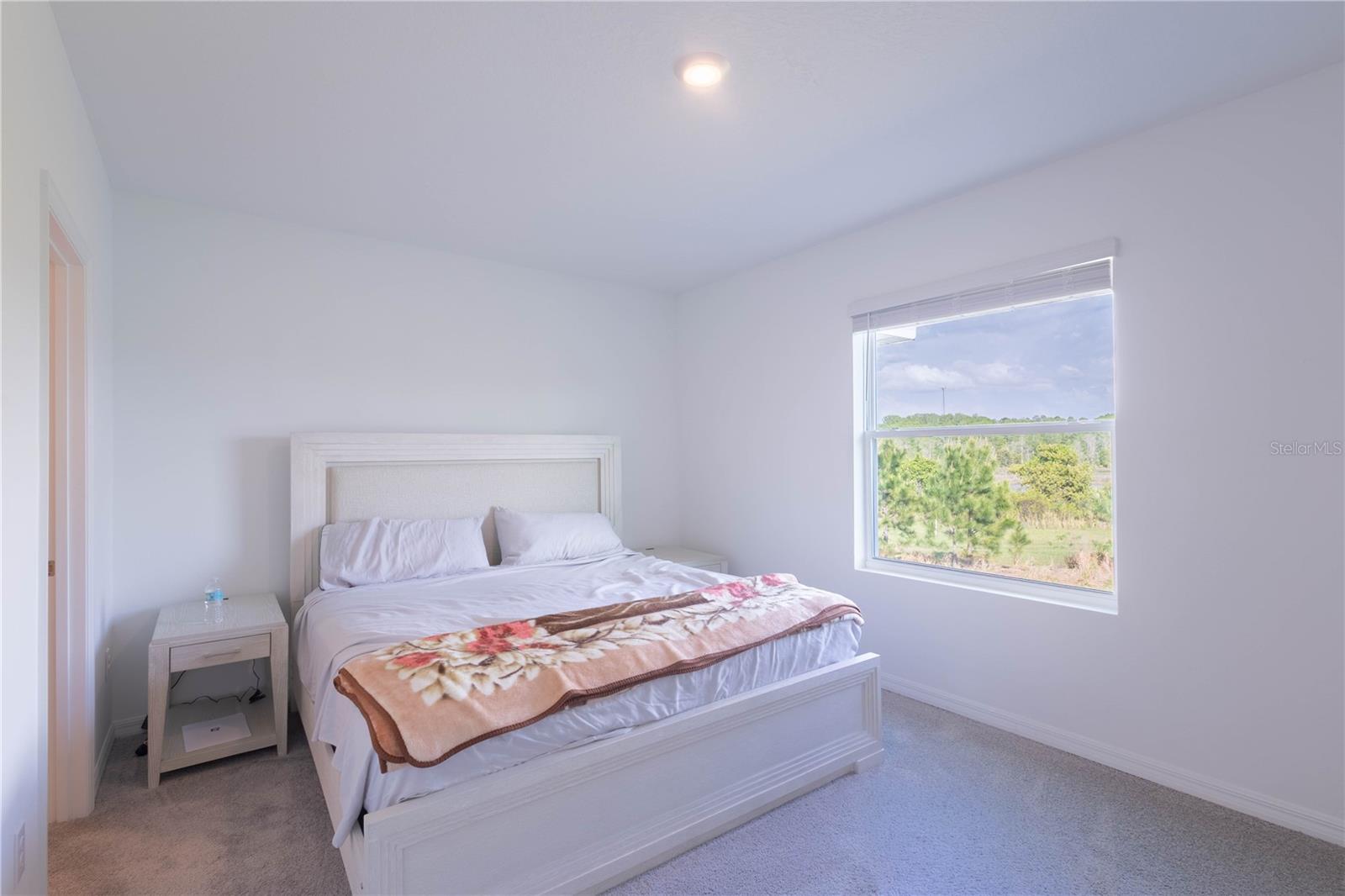 11262 CRESCENT DEER DR, LAND O LAKES, FL, 34638