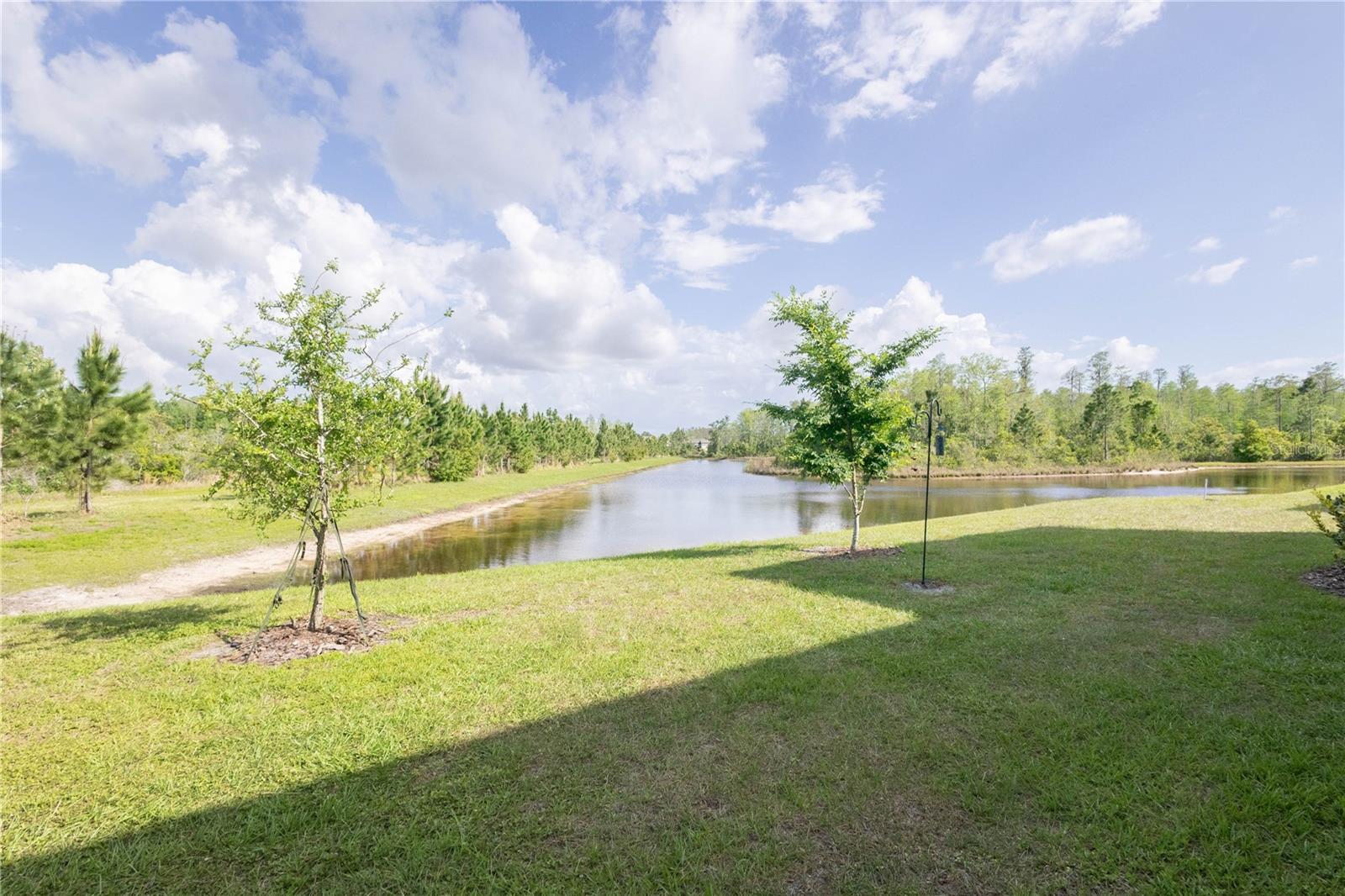 11262 CRESCENT DEER DR, LAND O LAKES, FL, 34638