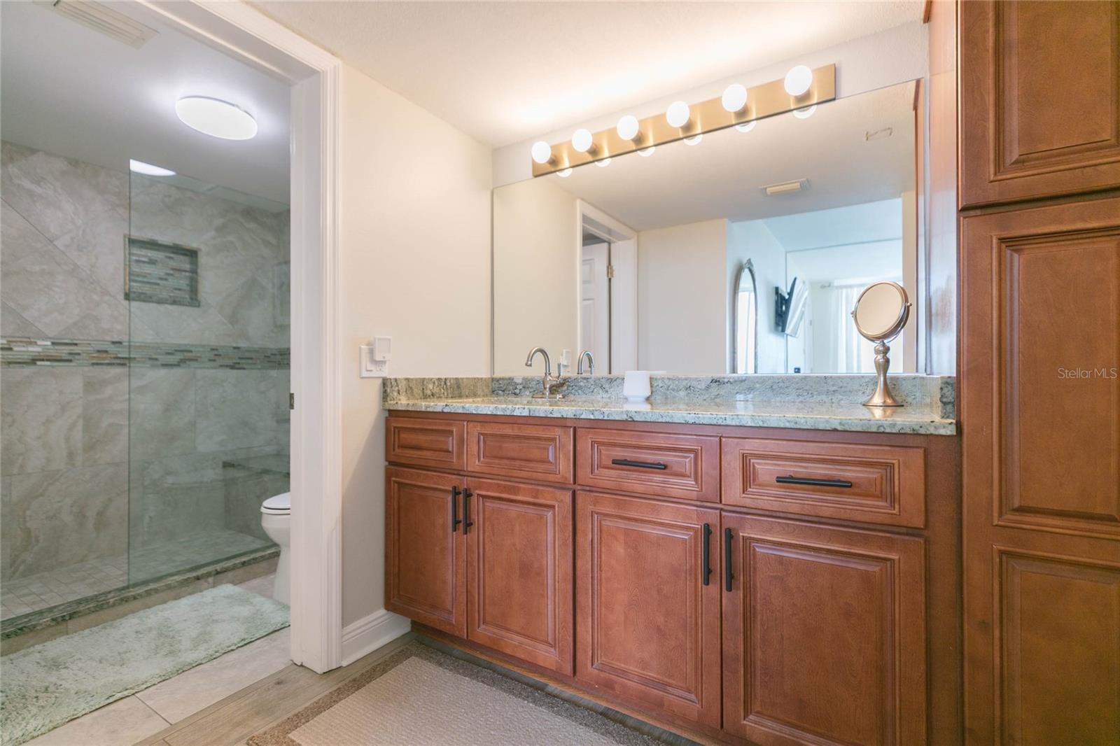 5729 PUERTA DEL SOL BLVD S #381, ST PETERSBURG, FL, 33715
