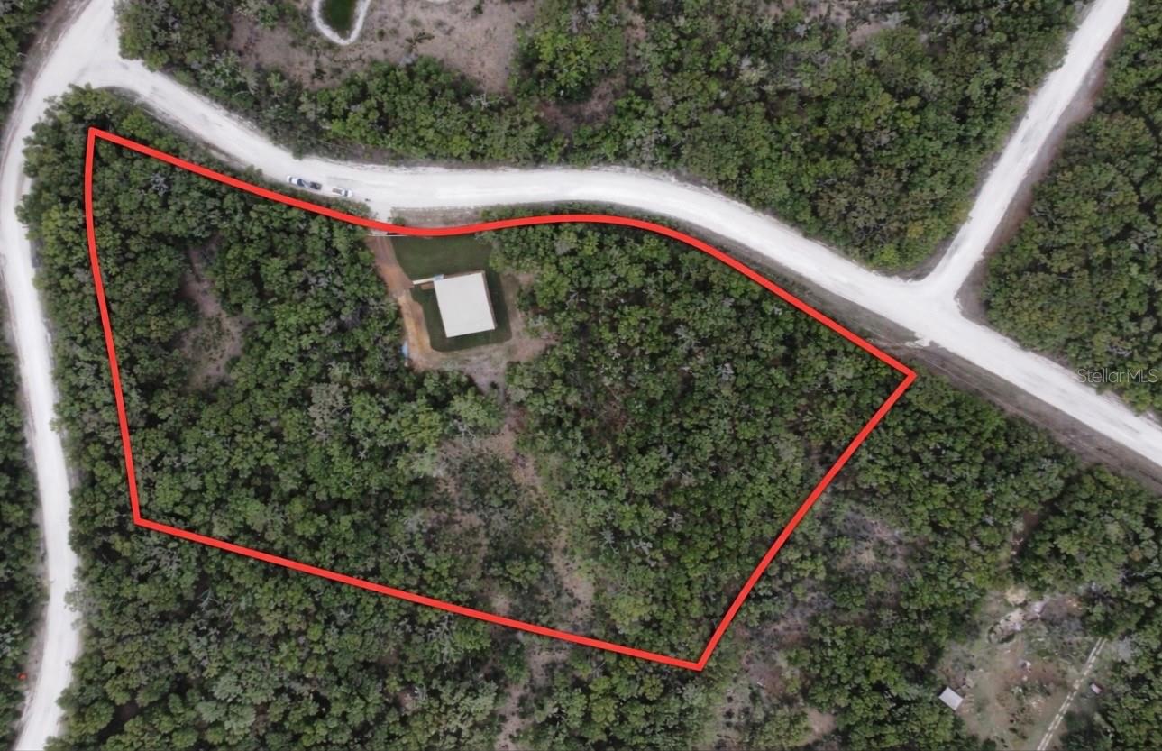 1133 SE 81ST PL, TRENTON, FL, 32693