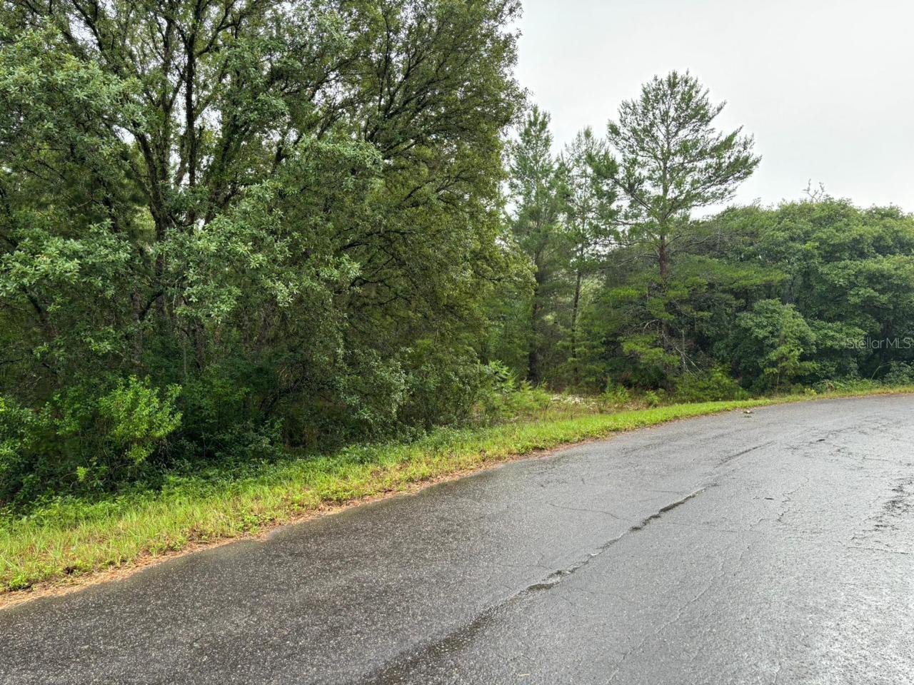 16 FISHER COURT WAY, OCKLAWAHA, FL, 32179