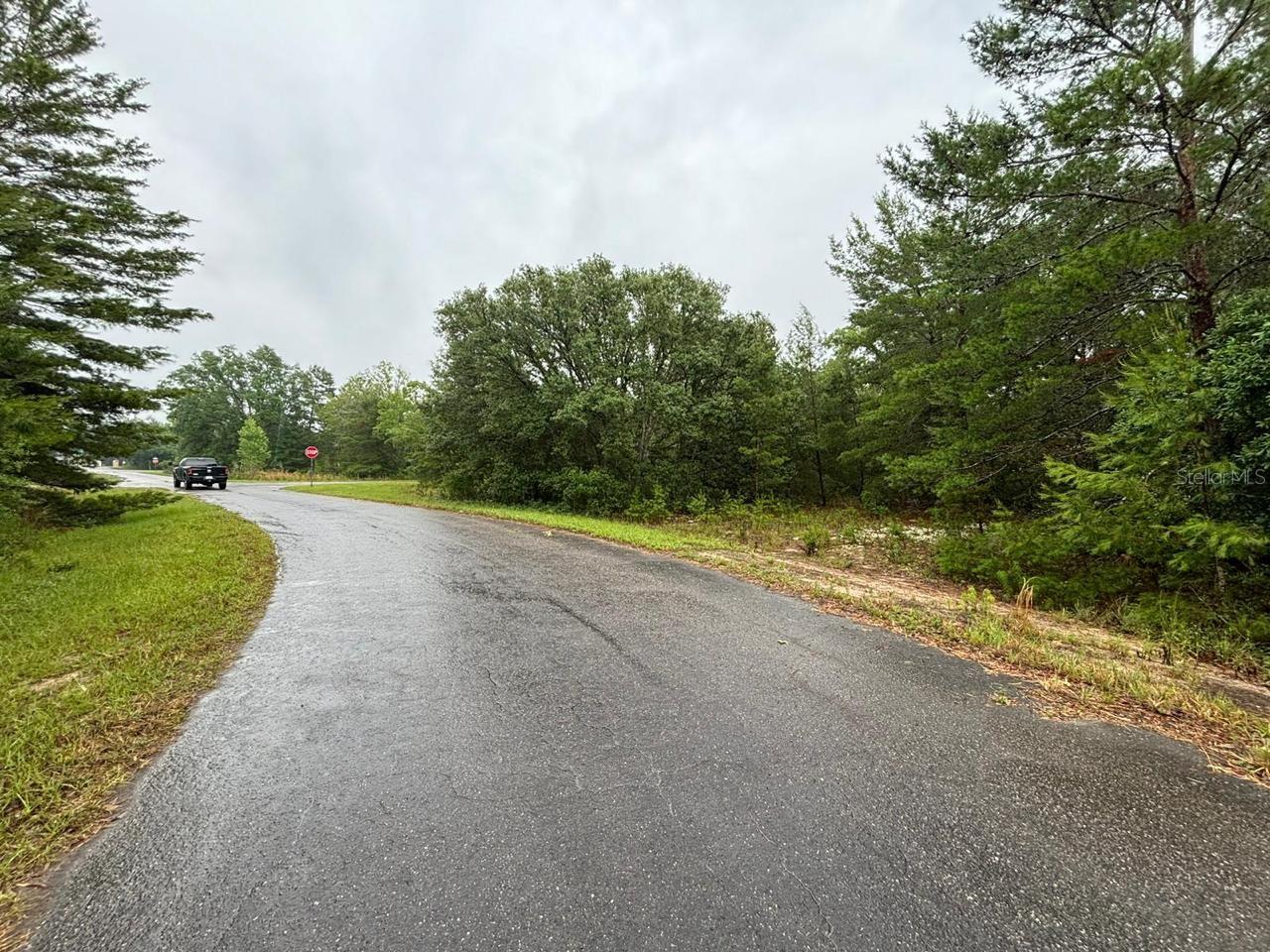 16 FISHER COURT WAY, OCKLAWAHA, FL, 32179