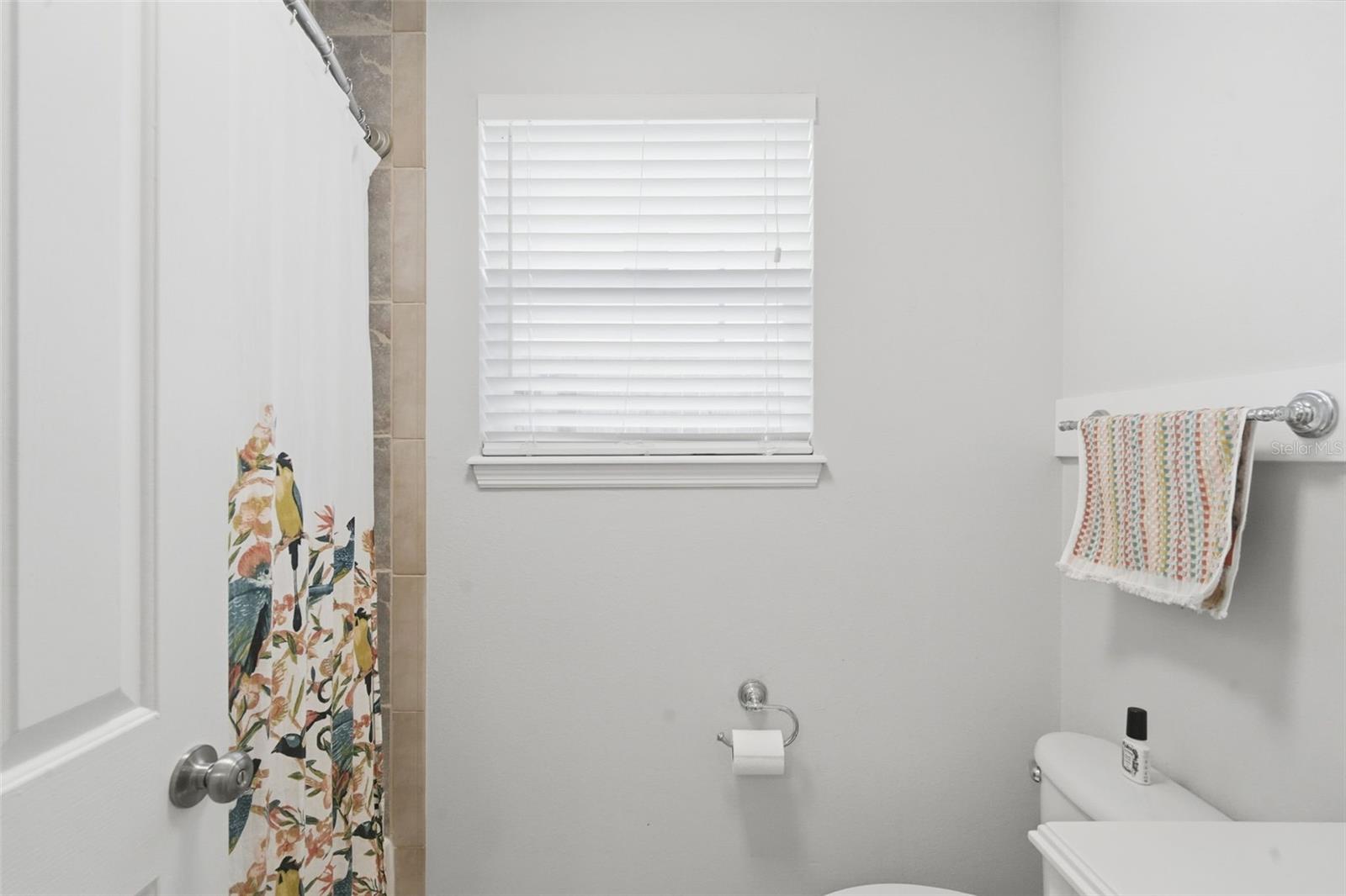 1408 E RIDGEWOOD ST, ORLANDO, FL, 32803