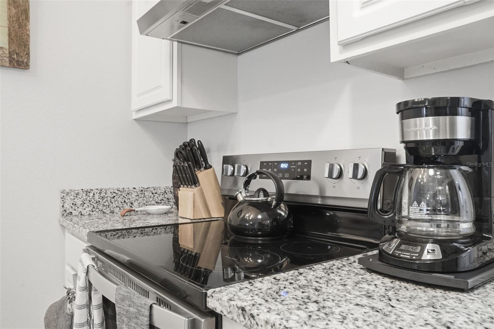 1408 E RIDGEWOOD ST, ORLANDO, FL, 32803