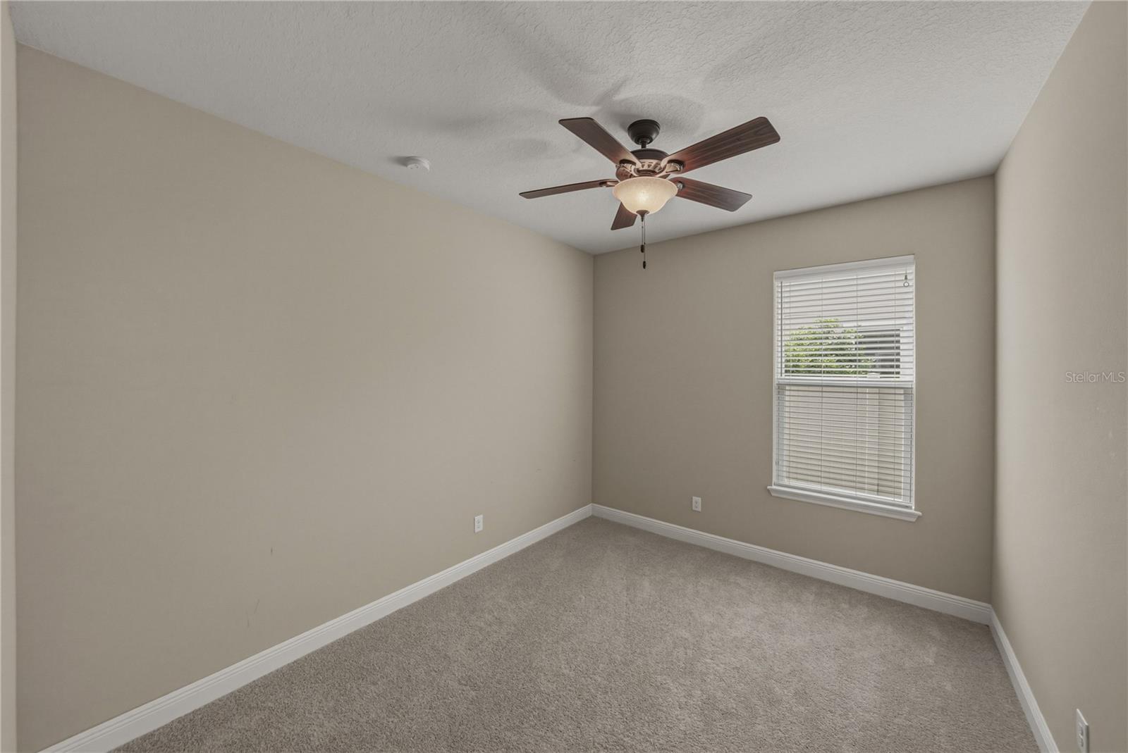 19099 LONG LAKE RANCH BLVD, LUTZ, FL, 33558