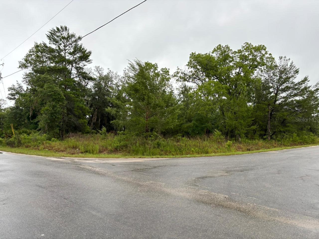 1 MALAUKA RADIAL DR, OCKLAWAHA, FL, 32179