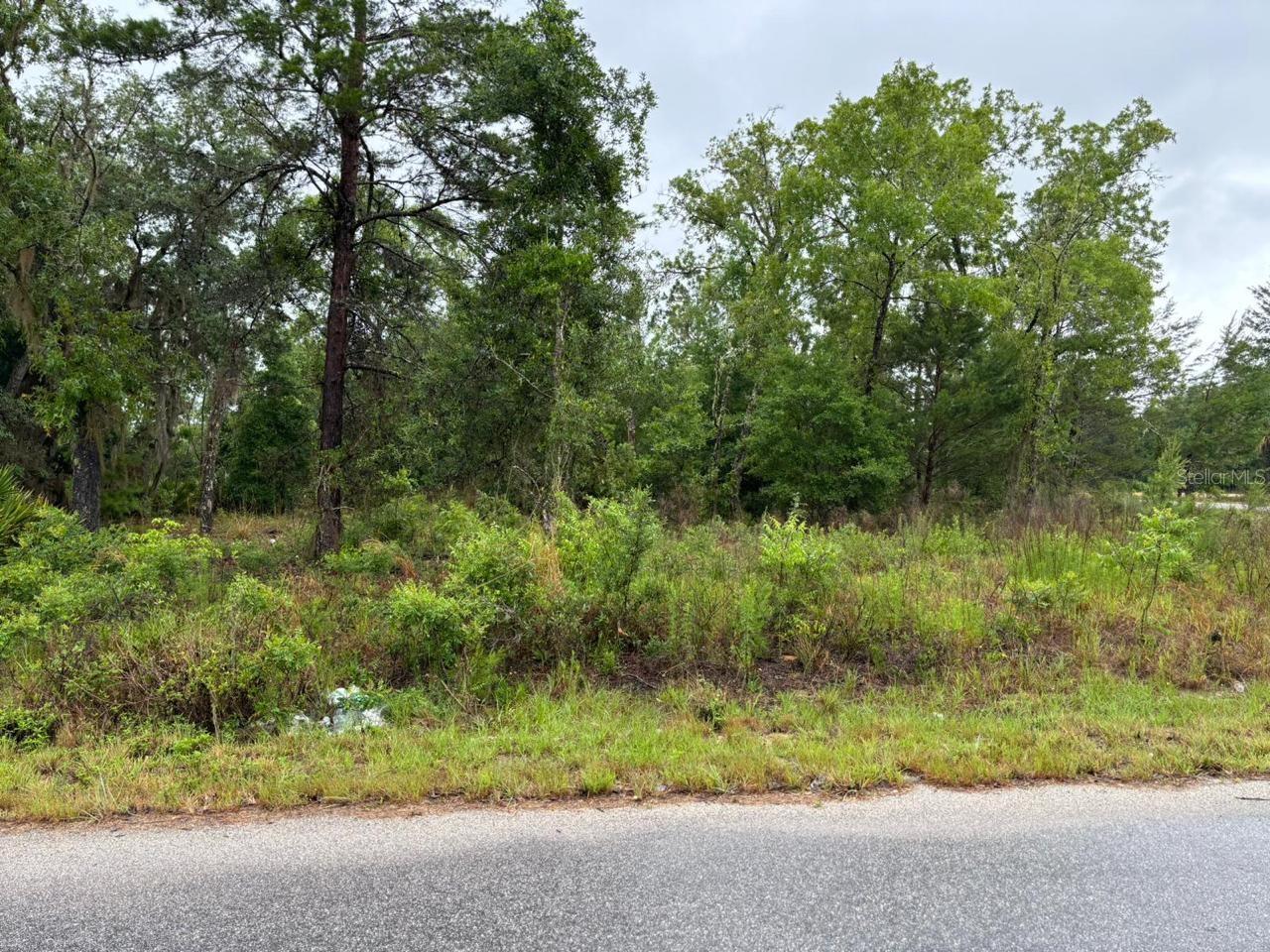 1 MALAUKA RADIAL DR, OCKLAWAHA, FL, 32179