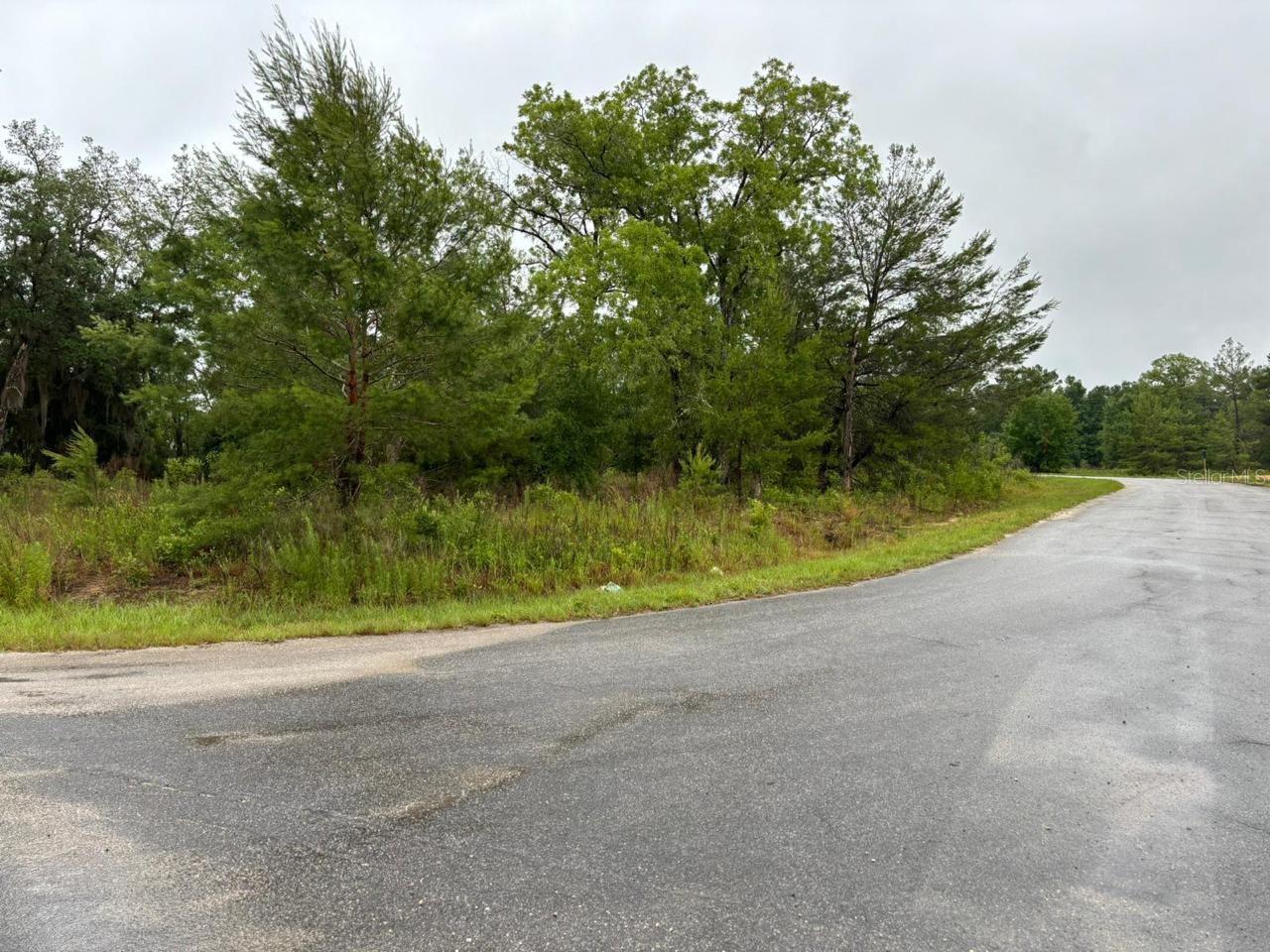 1 MALAUKA RADIAL DR, OCKLAWAHA, FL, 32179