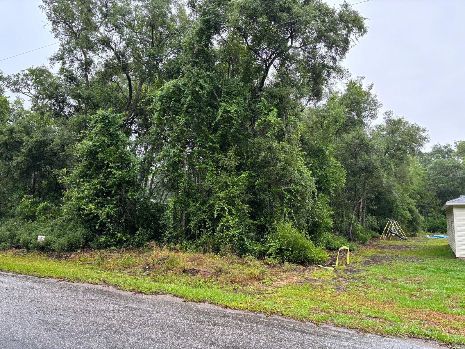 11 FISHER WAY COURSE, OCKLAWAHA, FL, 32179