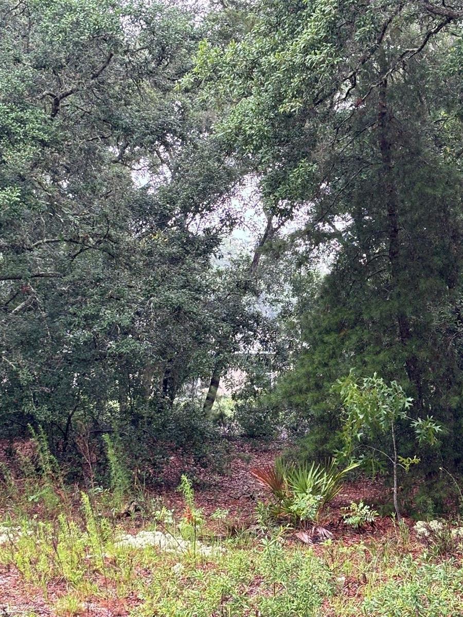 7 FISHER WAY DRIVE, OCKLAWAHA, FL, 32179