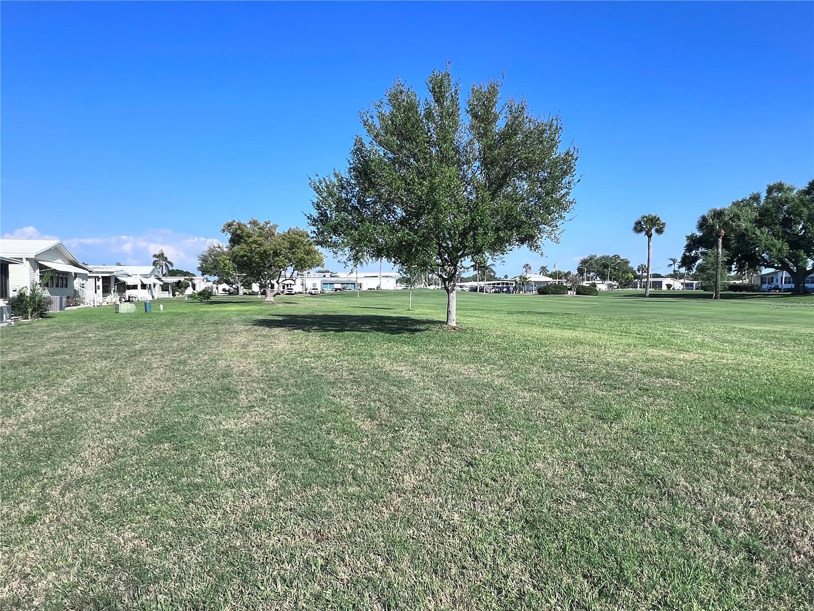 1100 BELCHER RD S #416, LARGO, FL, 33771