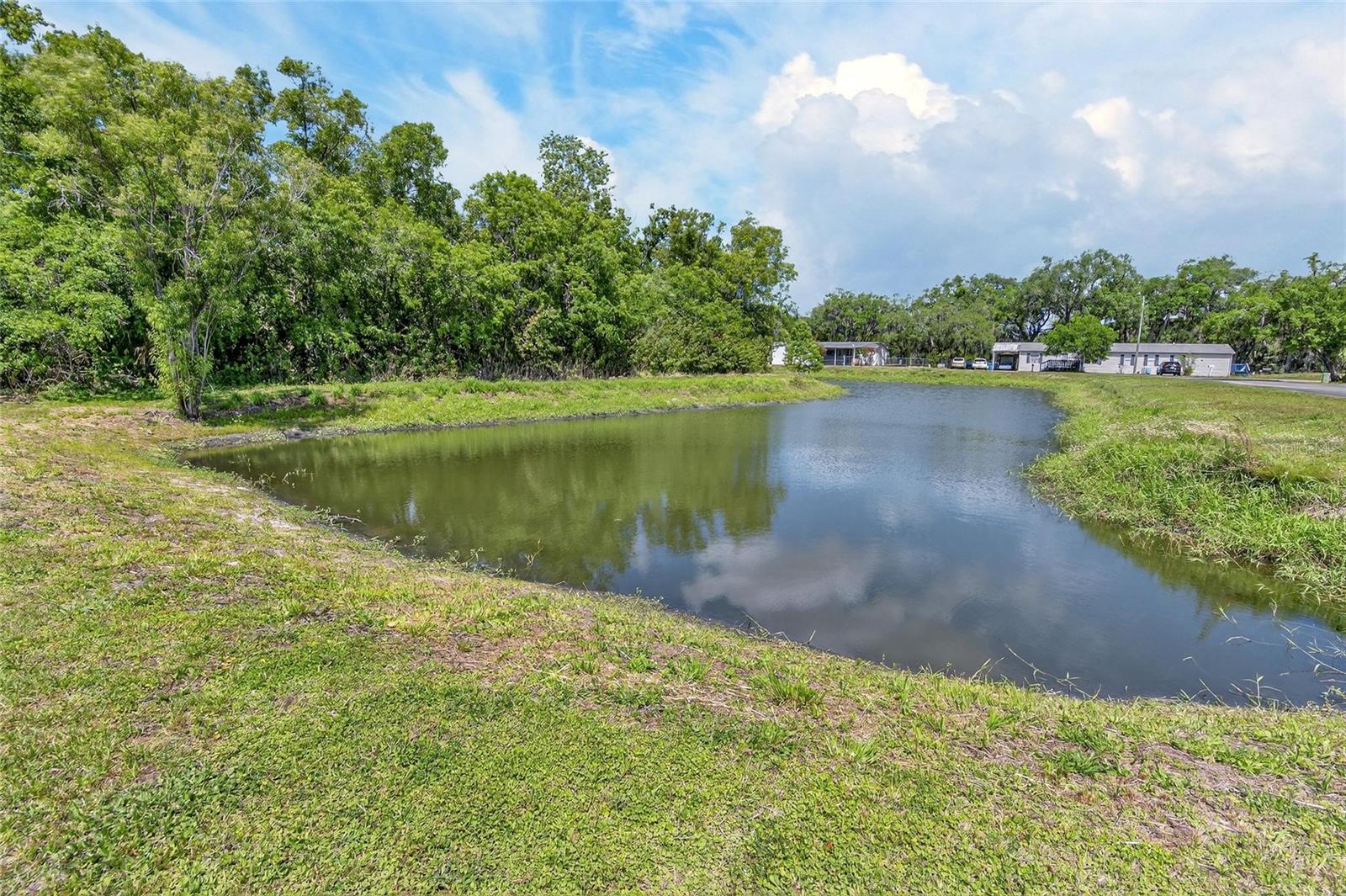 9150 WOOD TERRACE DR, TAMPA, FL, 33637