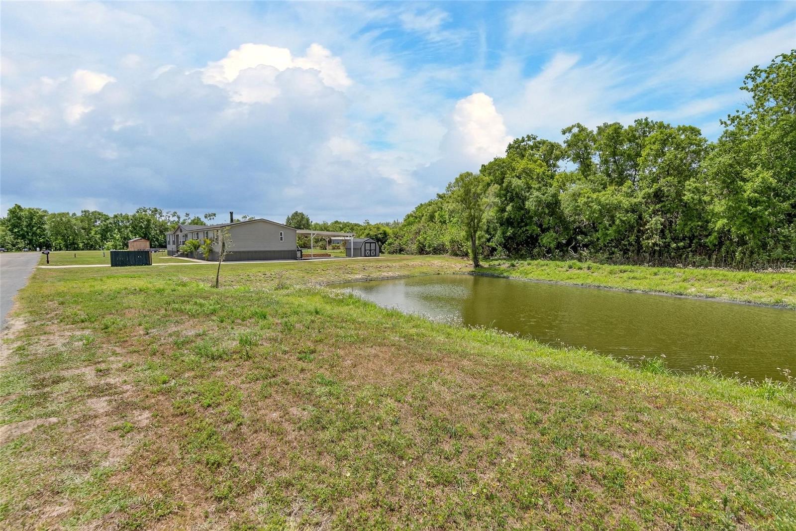 9150 WOOD TERRACE DR, TAMPA, FL, 33637