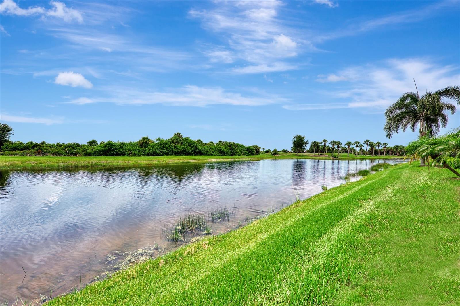 10965 BULLRUSH DR, VENICE, FL, 34293