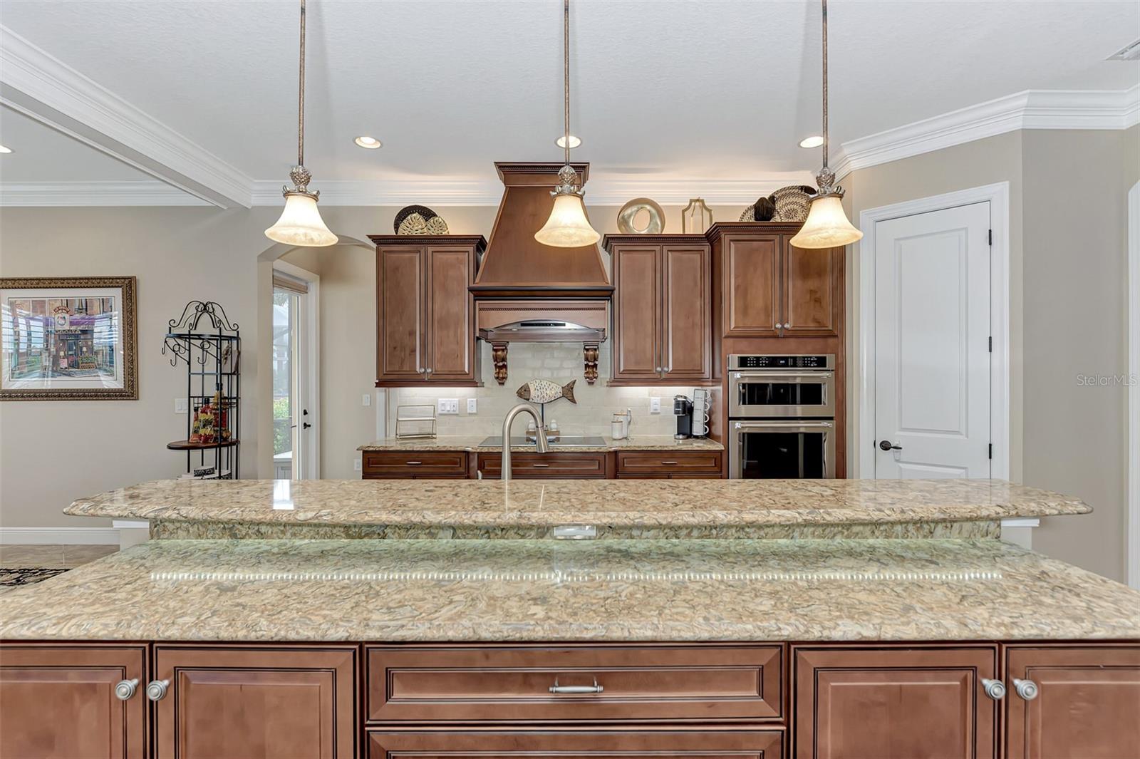 10965 BULLRUSH DR, VENICE, FL, 34293