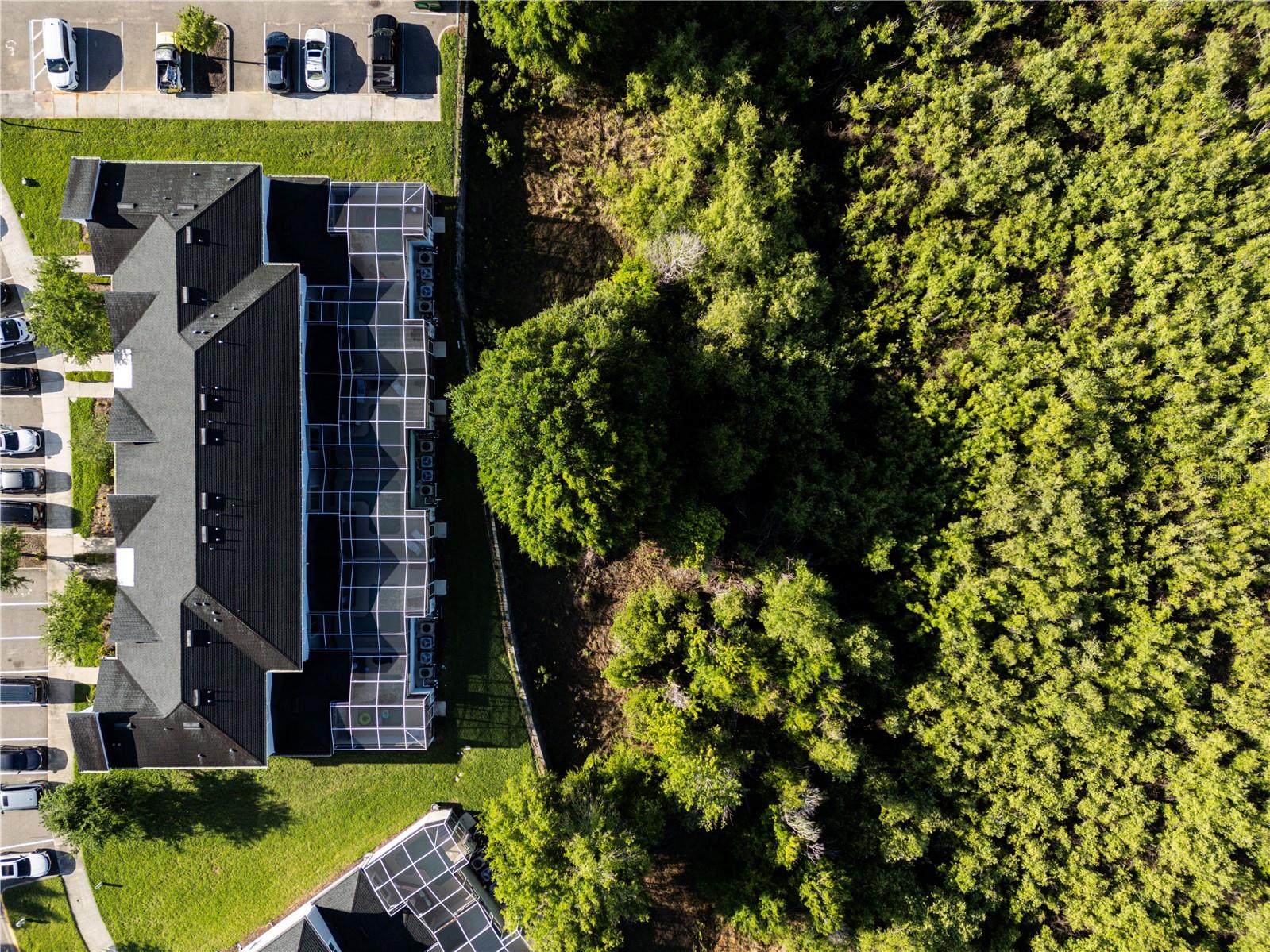 356 OCEAN COURSE AVE, DAVENPORT, FL, 33896