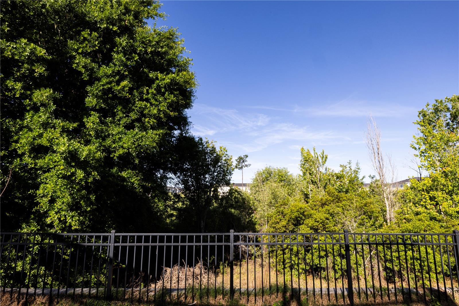 356 OCEAN COURSE AVE, DAVENPORT, FL, 33896