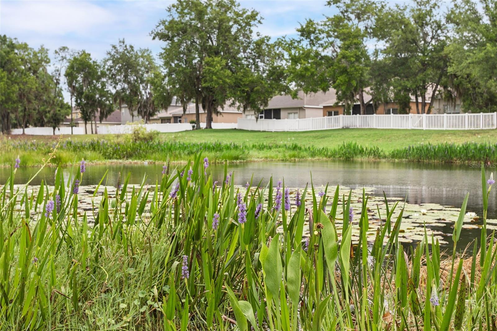 Pond in front of house