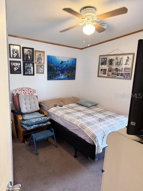 418 SE 6TH ST, WILLISTON, FL, 32696