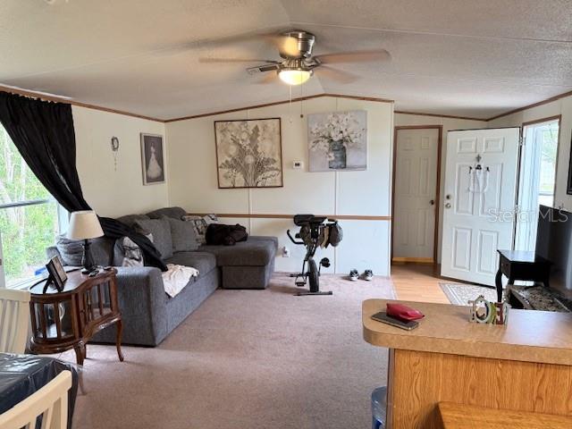 418 SE 6TH ST, WILLISTON, FL, 32696