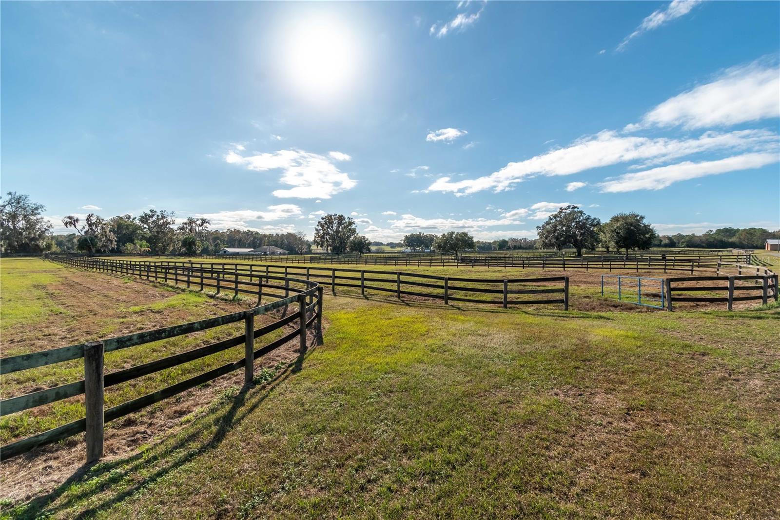 5100 W HWY 329, REDDICK, FL, 32686