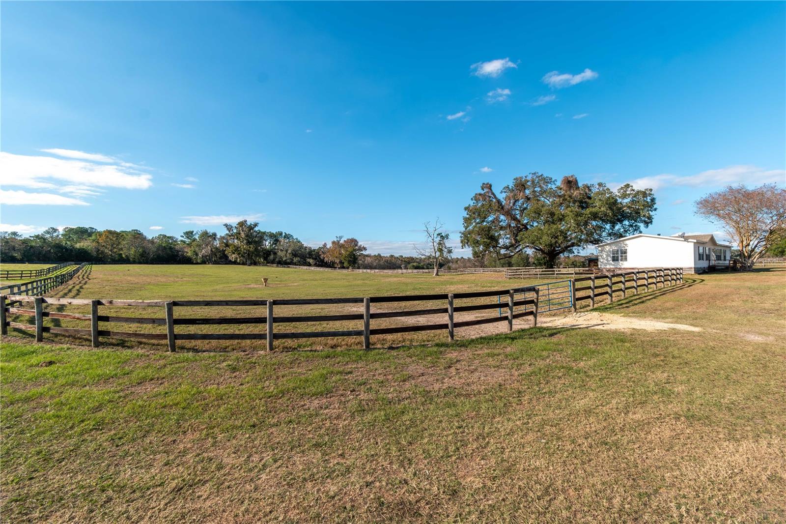 5100 W HWY 329, REDDICK, FL, 32686