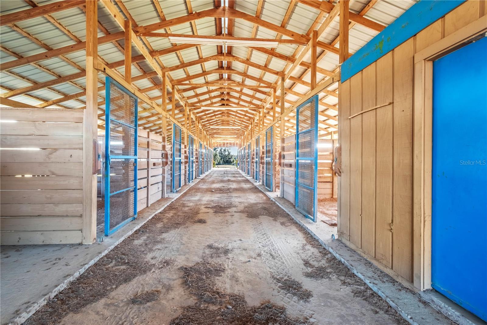 5100 W HWY 329, REDDICK, FL, 32686