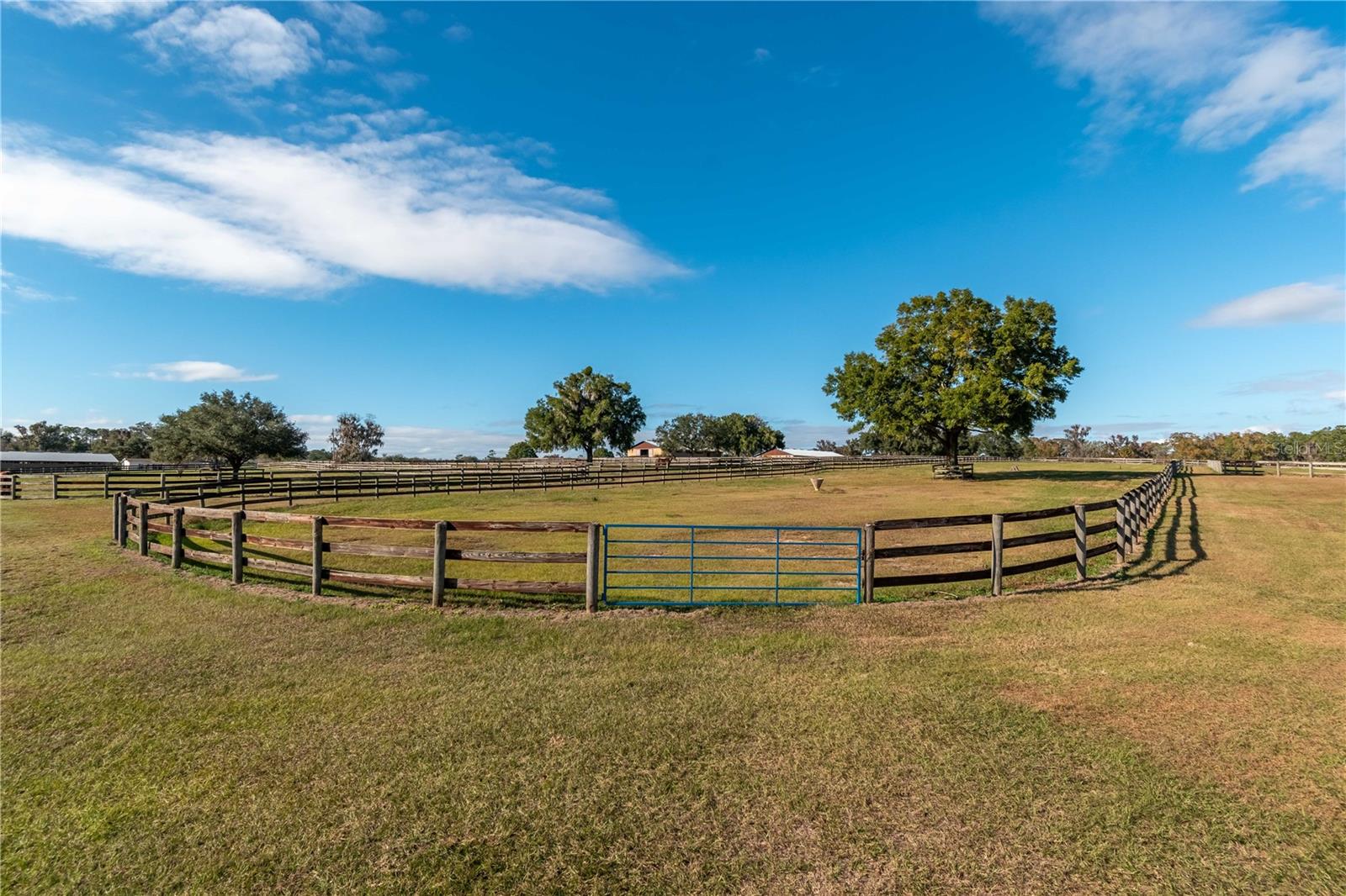 5100 W HWY 329, REDDICK, FL, 32686