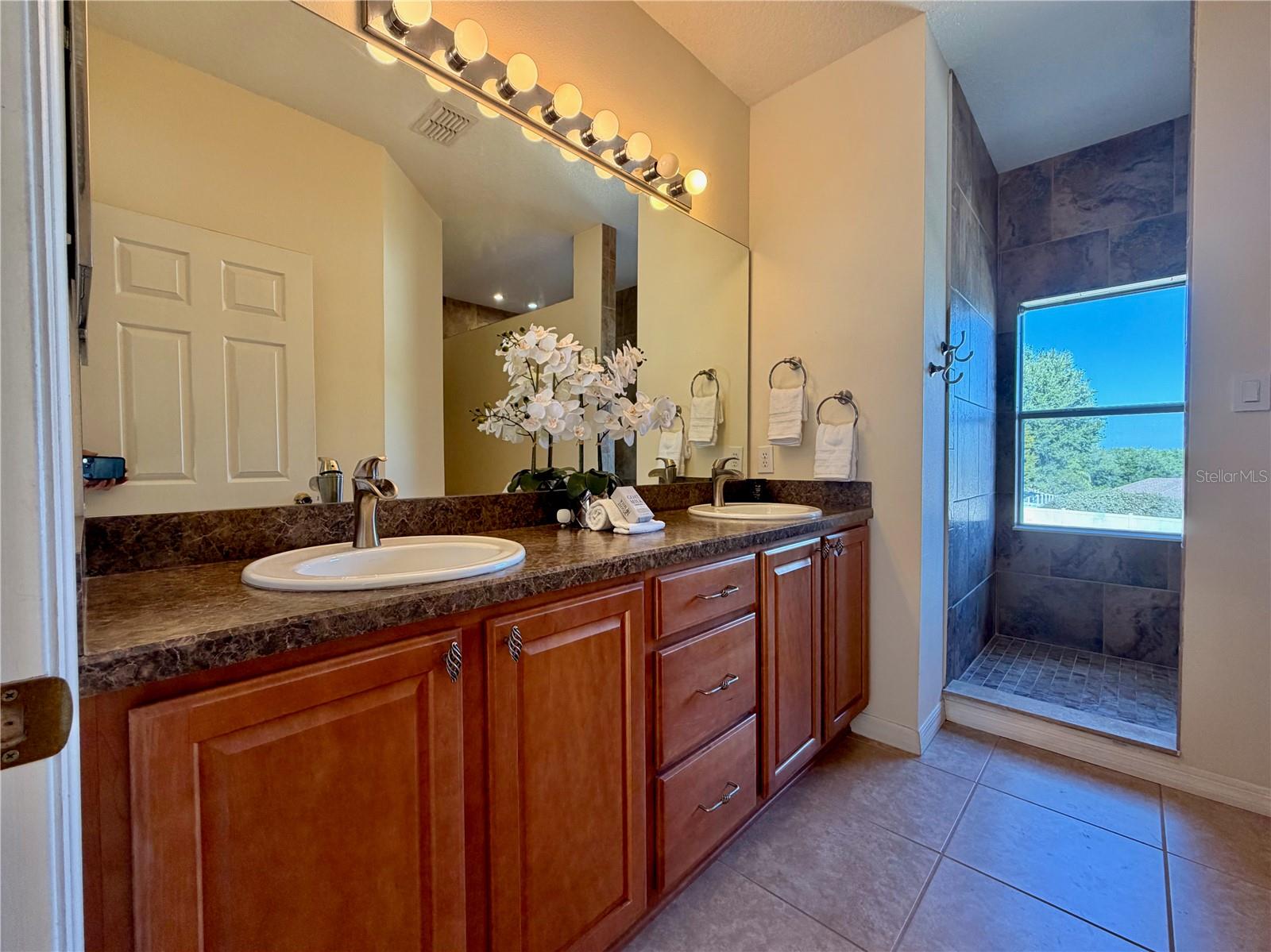 25012 CHIPSHOT CT, SORRENTO, FL, 32776