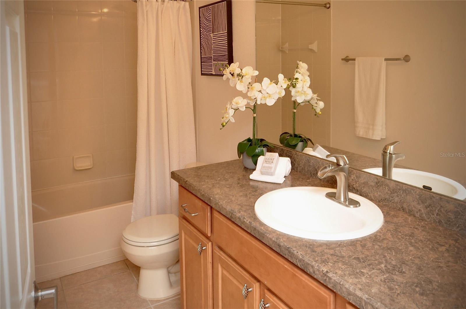 25012 CHIPSHOT CT, SORRENTO, FL, 32776