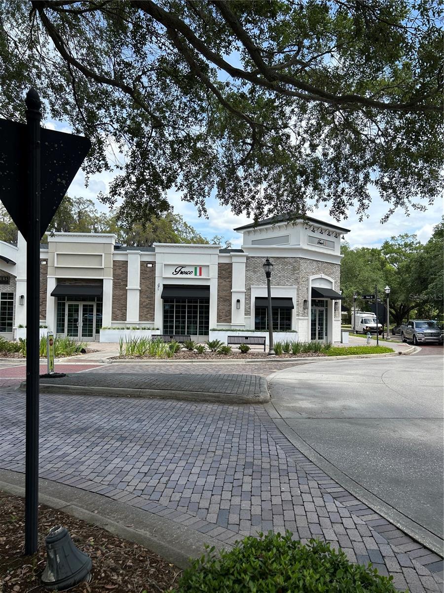 1002 OAKDALE ST, WINDERMERE, FL, 34786