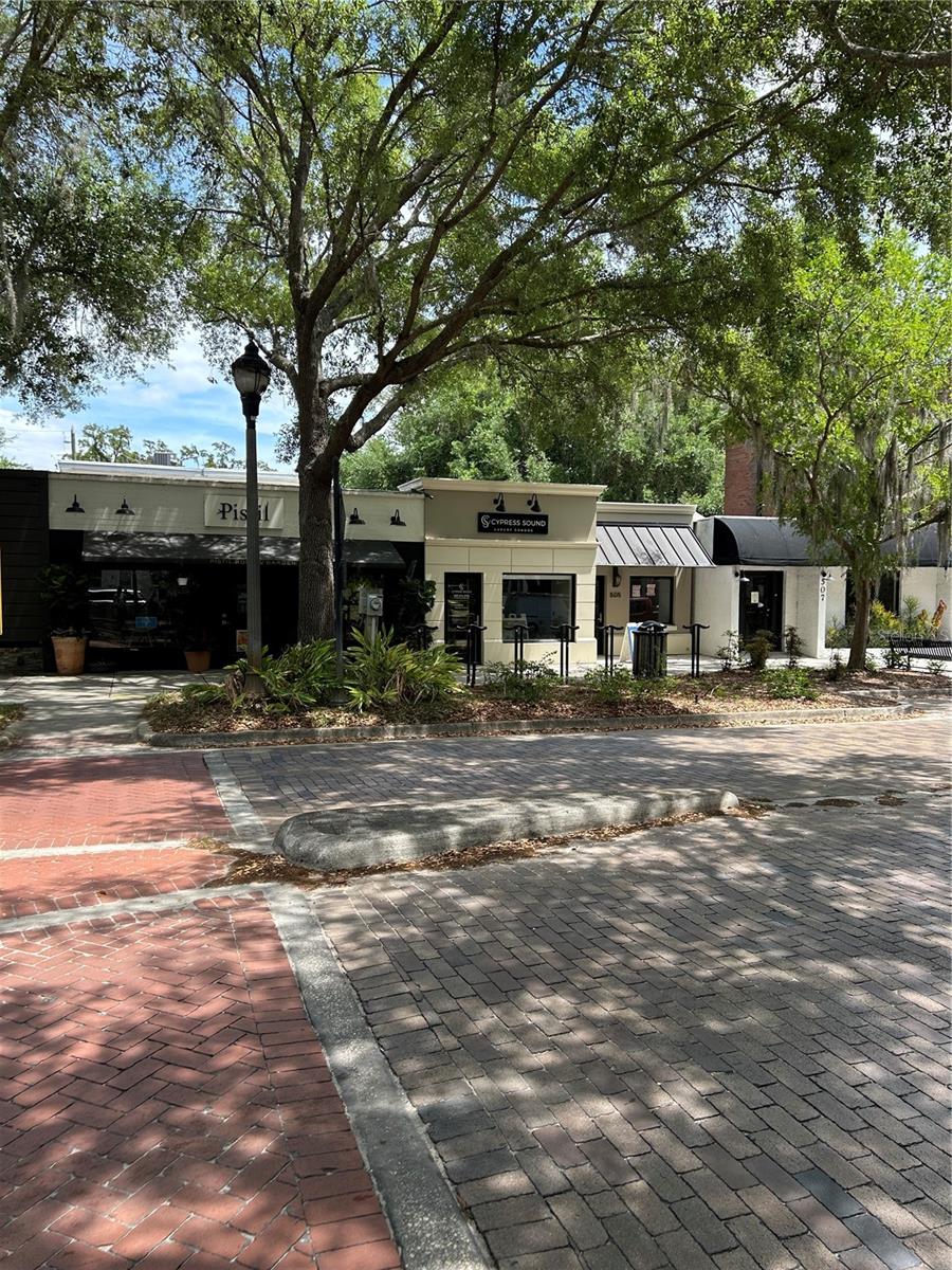 1002 OAKDALE ST, WINDERMERE, FL, 34786