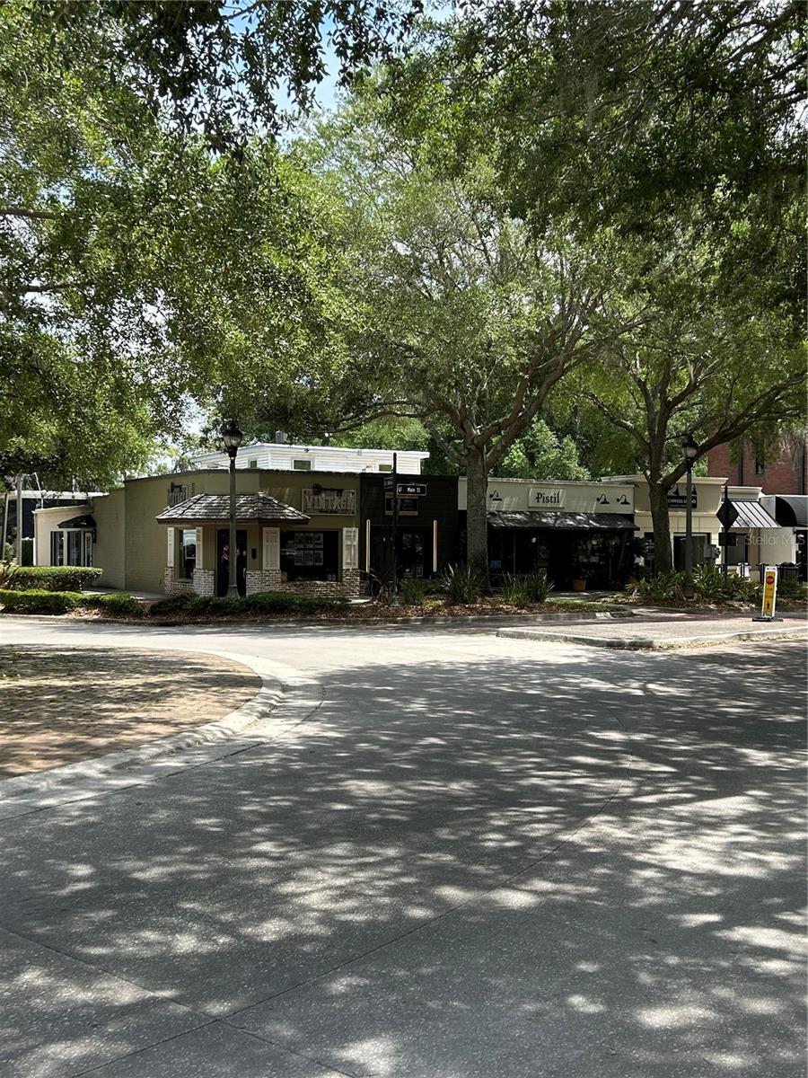 1002 OAKDALE ST, WINDERMERE, FL, 34786