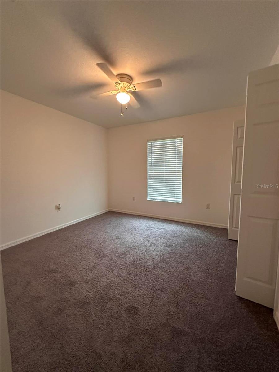6800 NE 175TH ST. RD, CITRA, FL, 32113