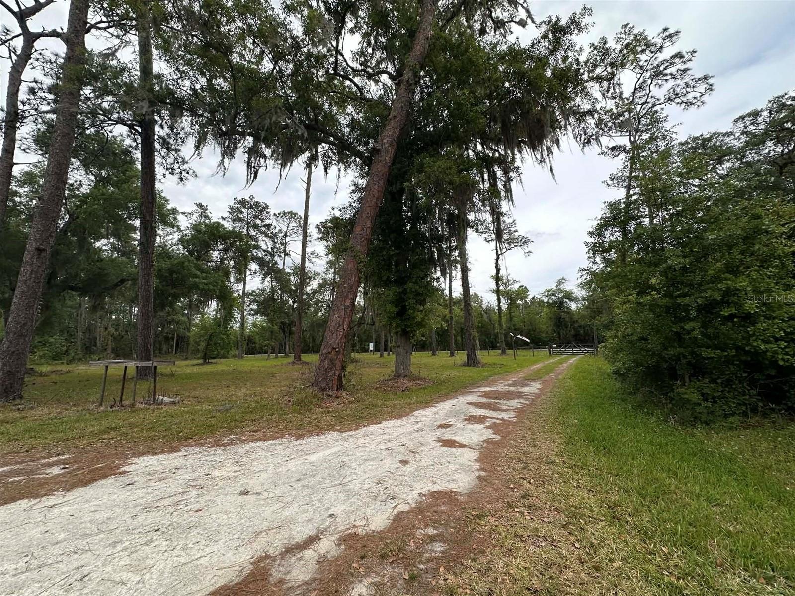 6800 NE 175TH ST. RD, CITRA, FL, 32113