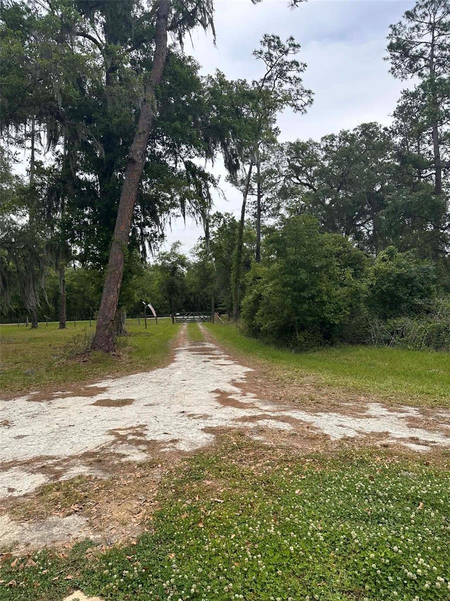 6800 NE 175TH ST. RD, CITRA, FL, 32113