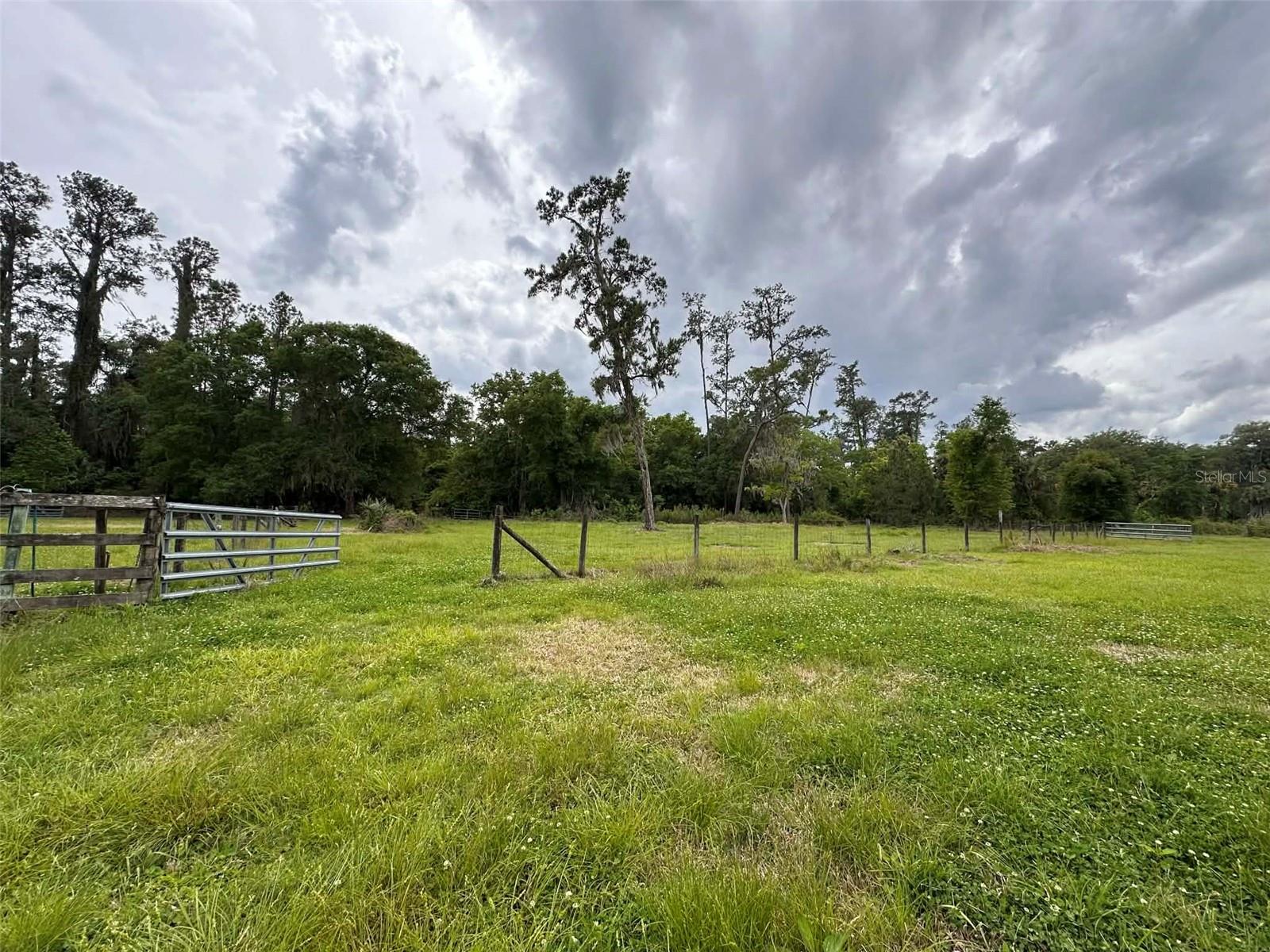 6800 NE 175TH ST. RD, CITRA, FL, 32113