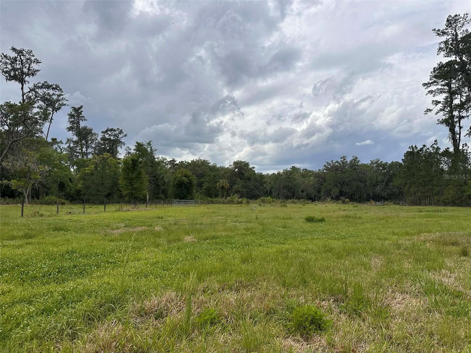 6800 NE 175TH ST. RD, CITRA, FL, 32113