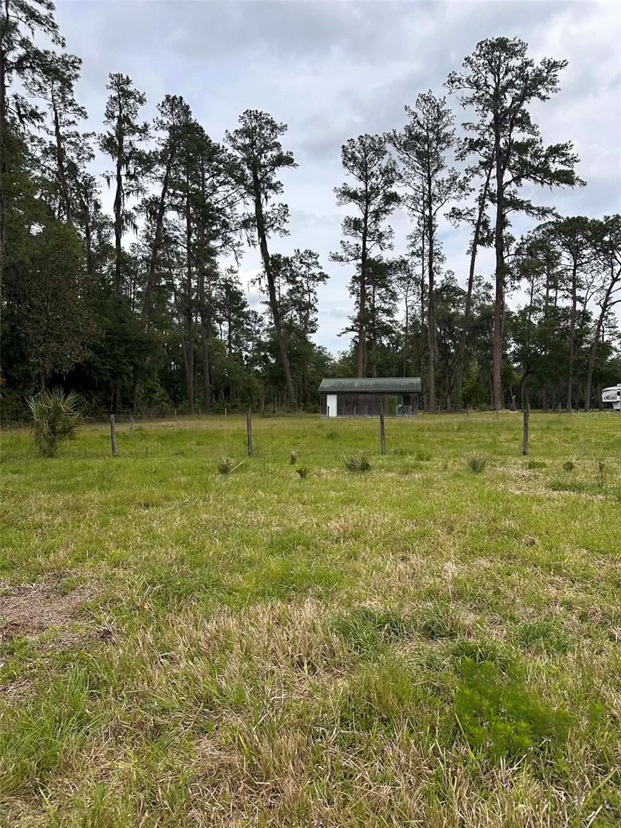 6800 NE 175TH ST. RD, CITRA, FL, 32113