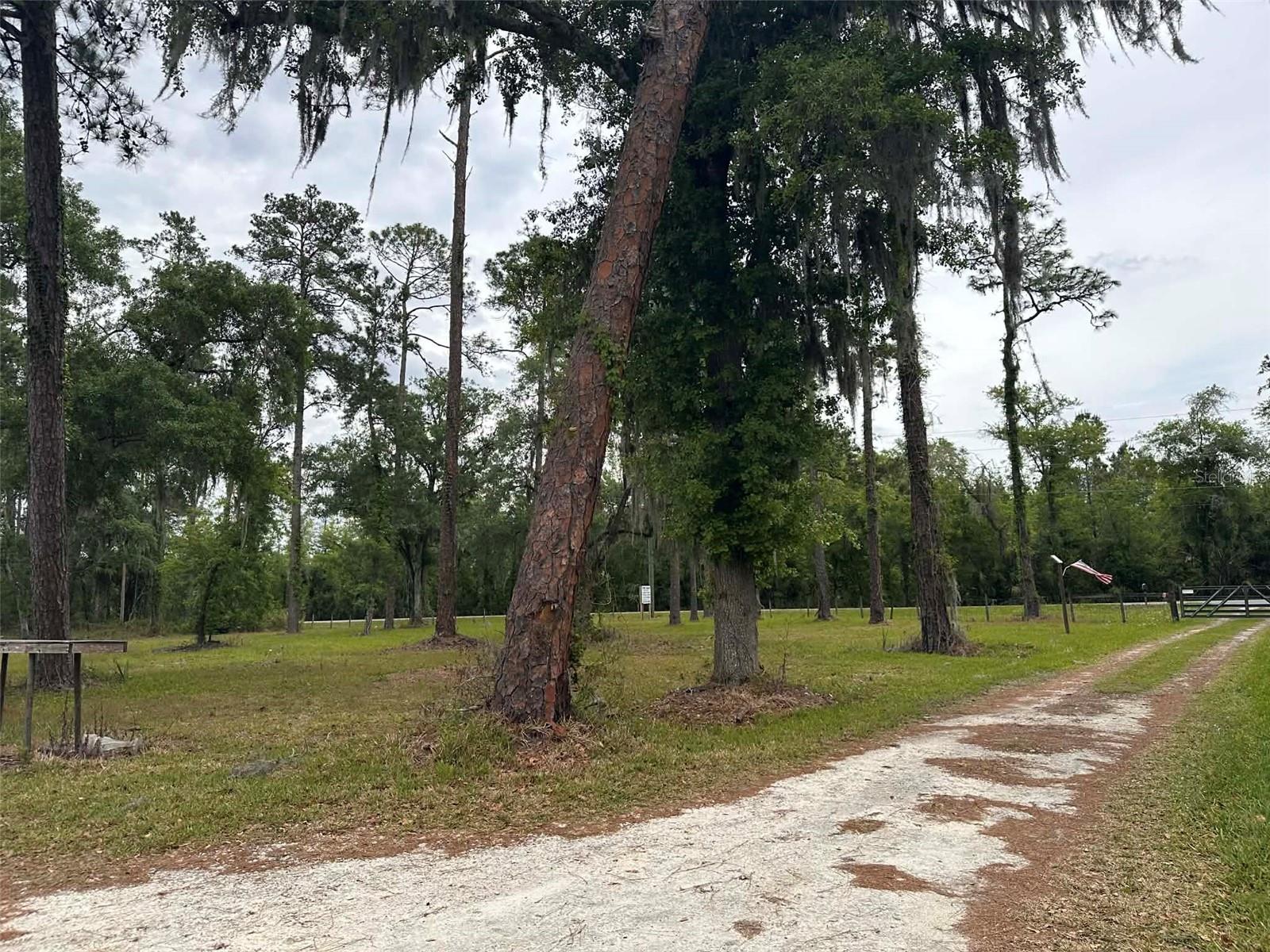 6800 NE 175TH ST. RD, CITRA, FL, 32113