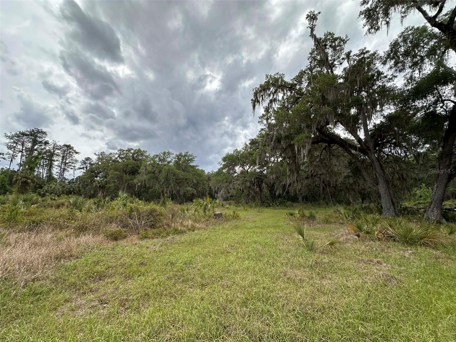 6800 NE 175TH ST. RD, CITRA, FL, 32113