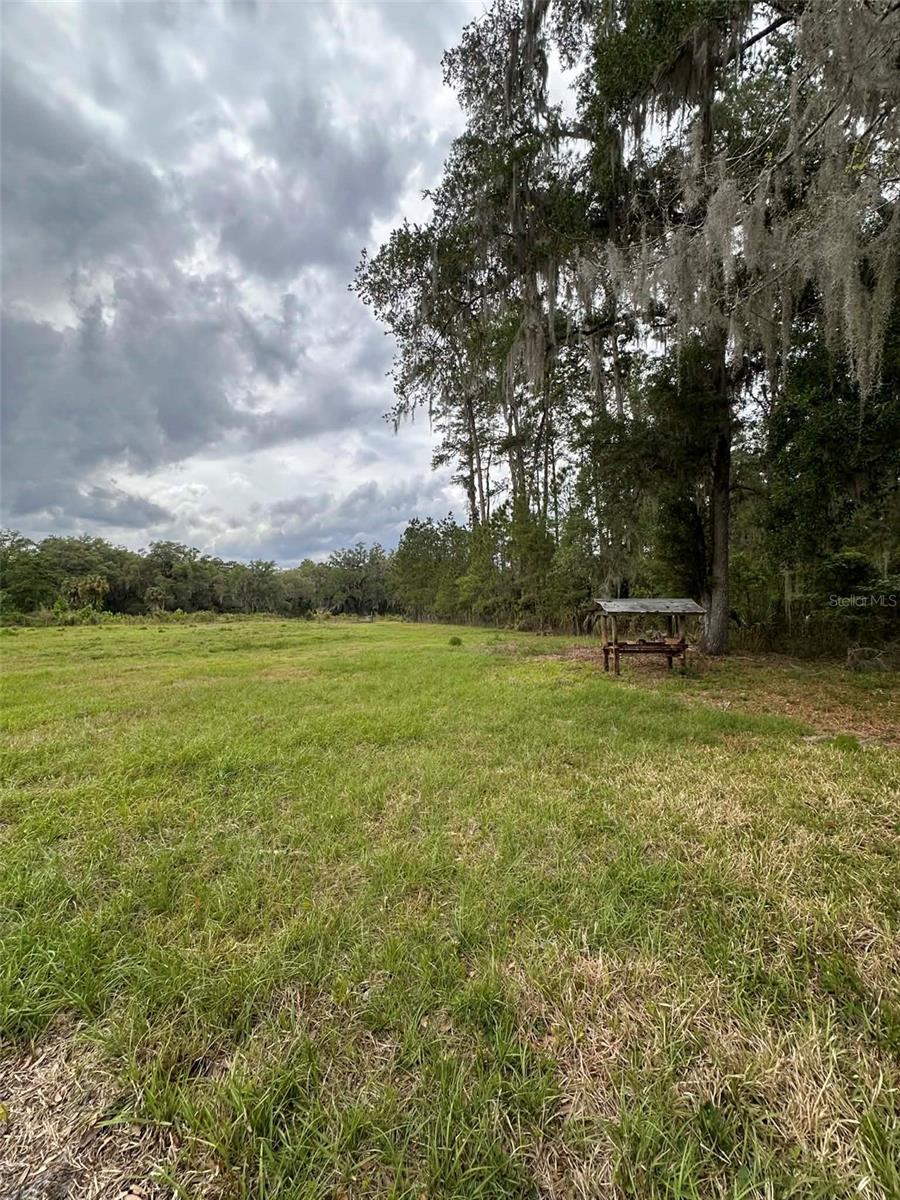 6800 NE 175TH ST. RD, CITRA, FL, 32113