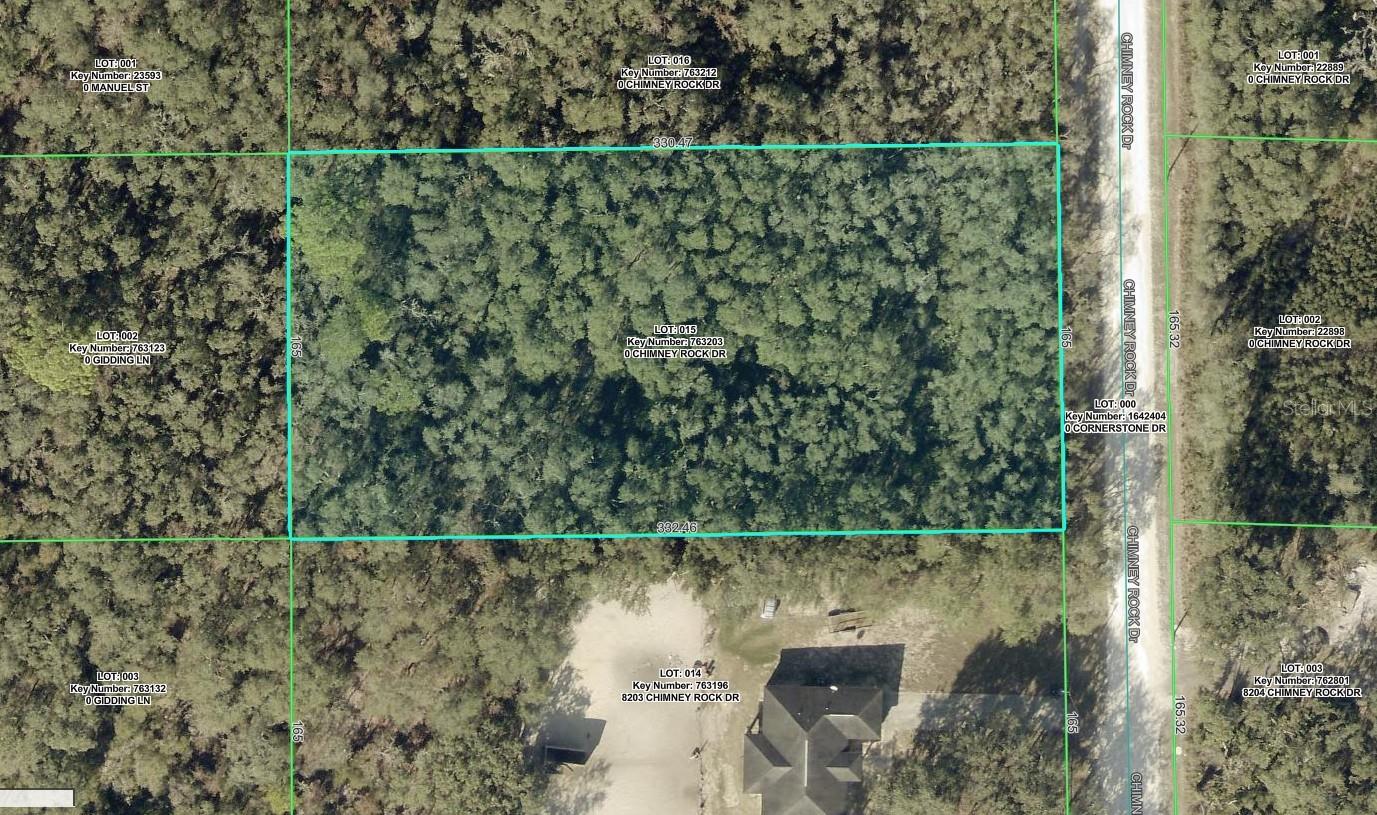 8223 CHIMNEY ROCK DR, WEBSTER, FL, 33597