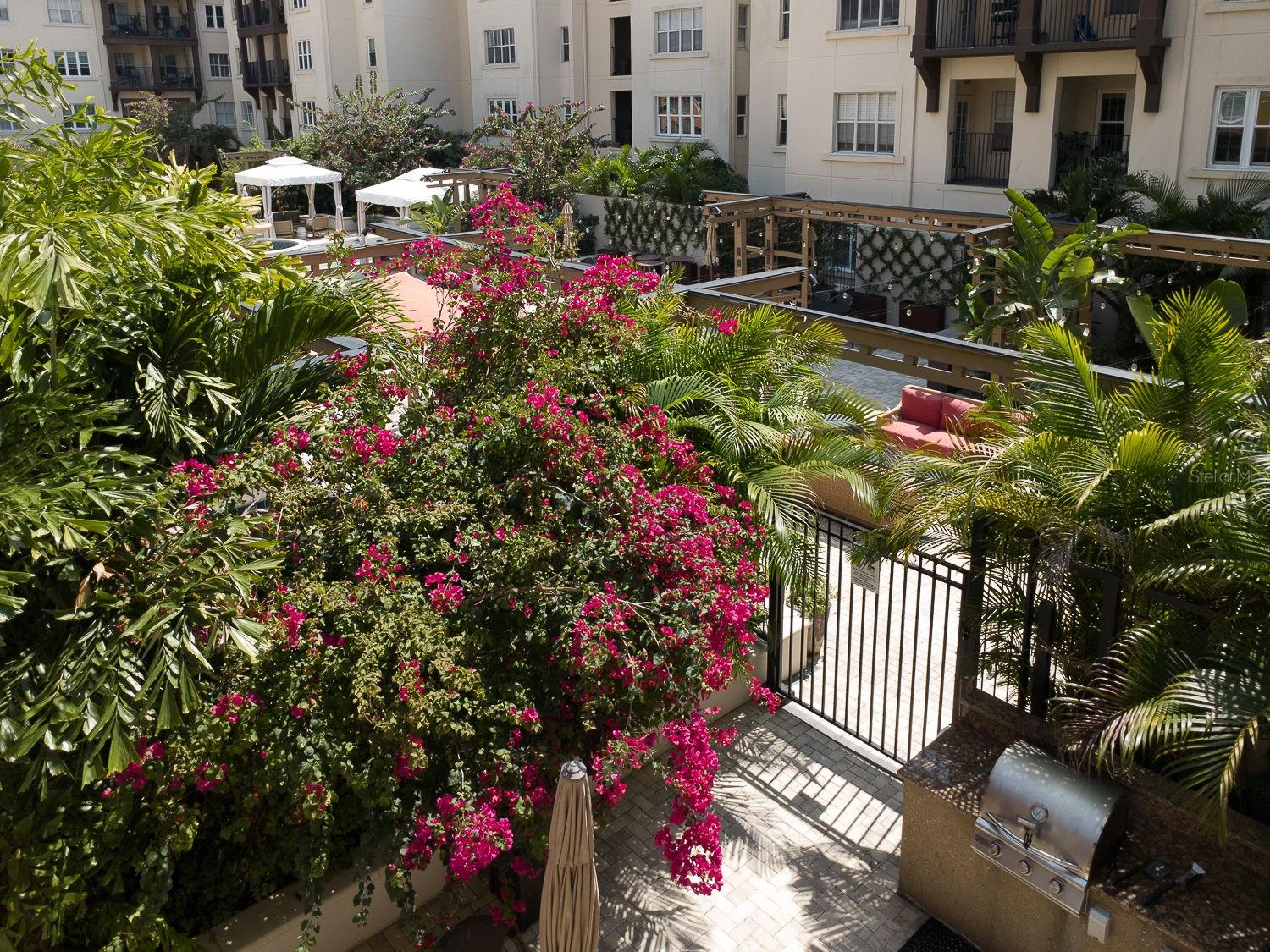 200 4TH AVE S #229, ST PETERSBURG, FL, 33701