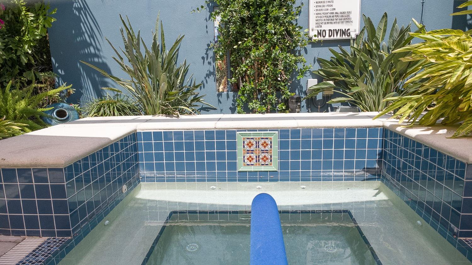 200 4TH AVE S #229, ST PETERSBURG, FL, 33701