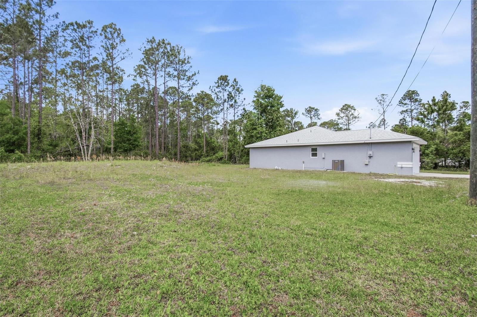 1730 BERRYBUSH ST, BUNNELL, FL, 32110