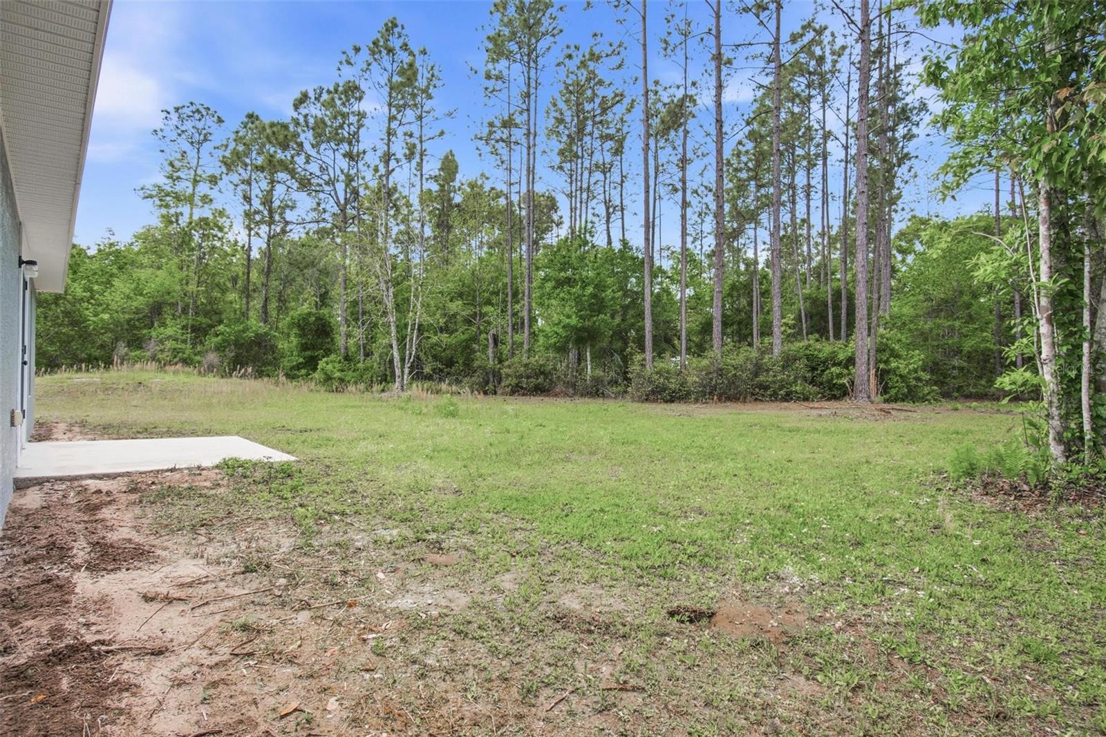 1730 BERRYBUSH ST, BUNNELL, FL, 32110