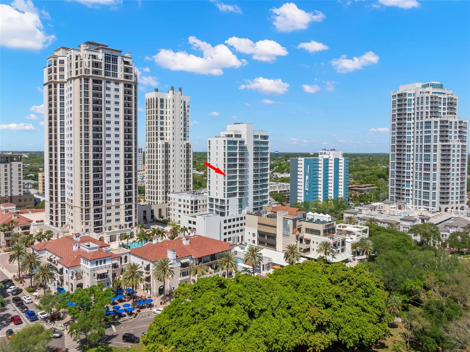 176 4TH AVE NE #1102, ST PETERSBURG, FL, 33701