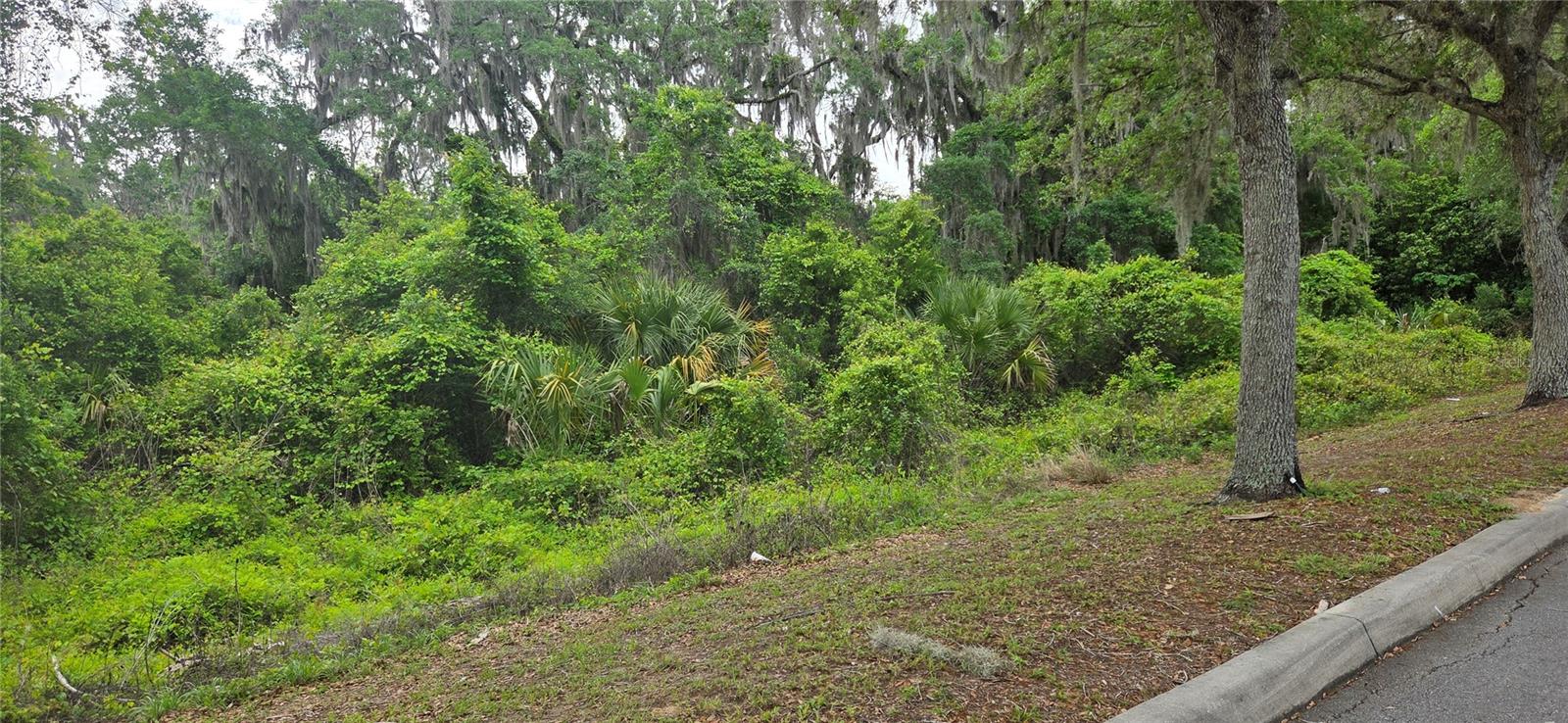 2392 N HERITAGE OAKS PATH, HERNANDO, FL, 34442